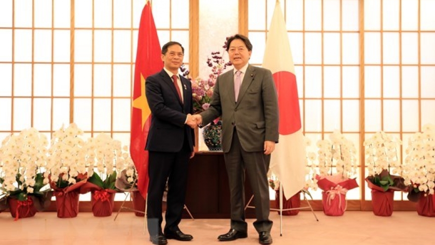 Vietnam always considers Japan leading strategic partner: FM